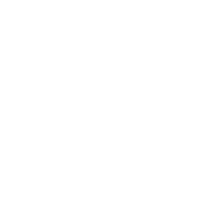 Hyundai Motor Group