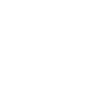 Hyundai Motor Group