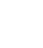 Fortune Global 500