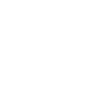 Fortune 500